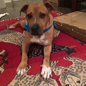 Meet your Posher, Catherine